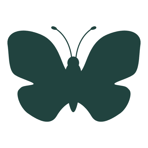 An icon of a butterfly shows the Blus Sky social network logo.