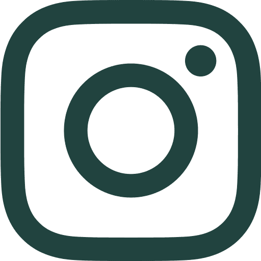 An icon of a camera shows the Instagram social network logo.
