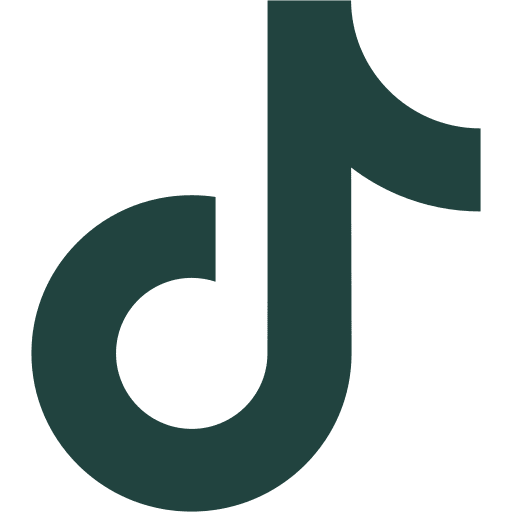 An icon resembling the letter 'T' shows the TikTok social network logo.