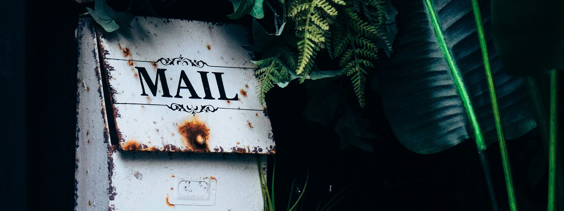 A banner-style crop shows an image of a mailbox with the word 'MAIL' in caps printed on the front of a rusted white metal box, surrounded by dark green vegetation in an unknown location.
